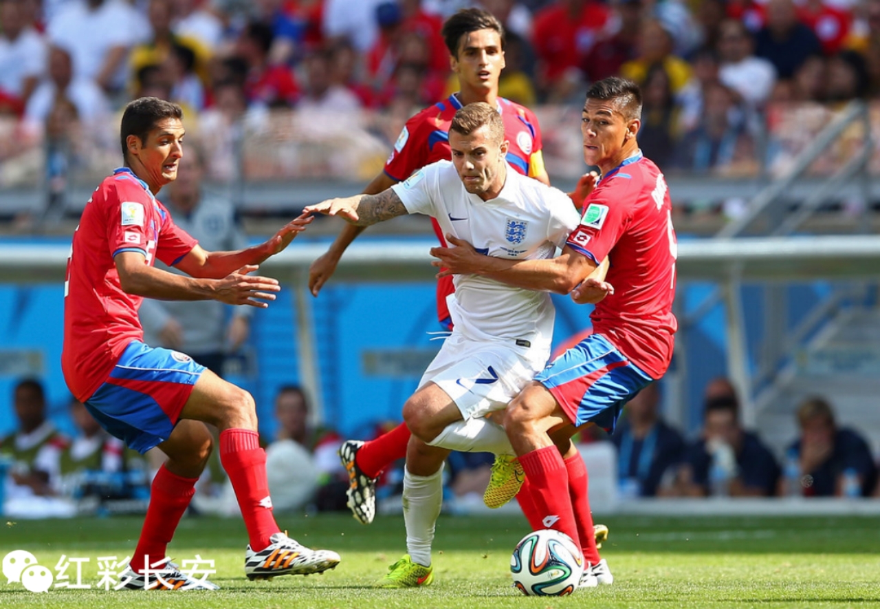 世界杯盘口突变，业内人士深度分析