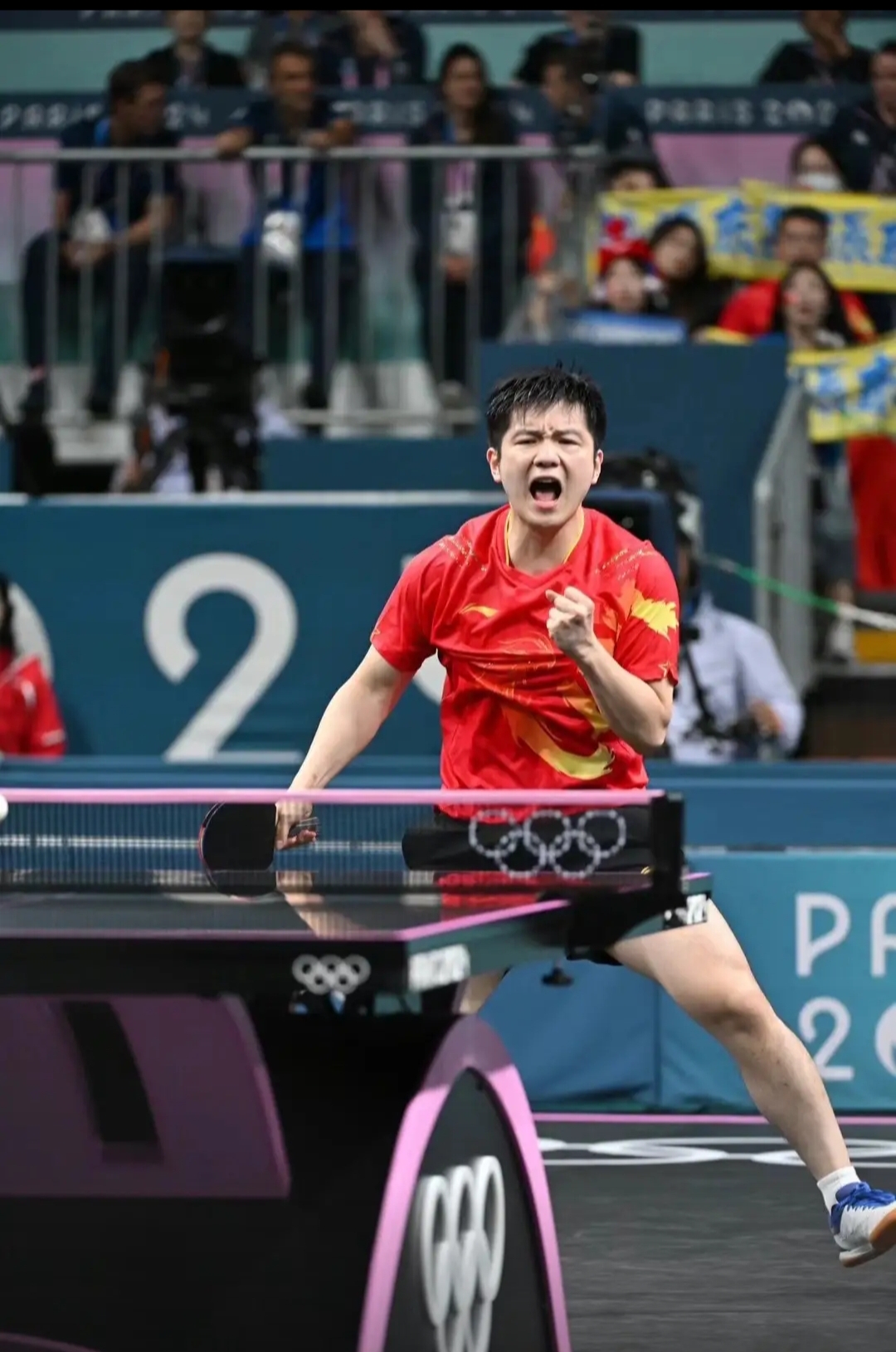 波兰队力克奥地利队，樊振东高光表现