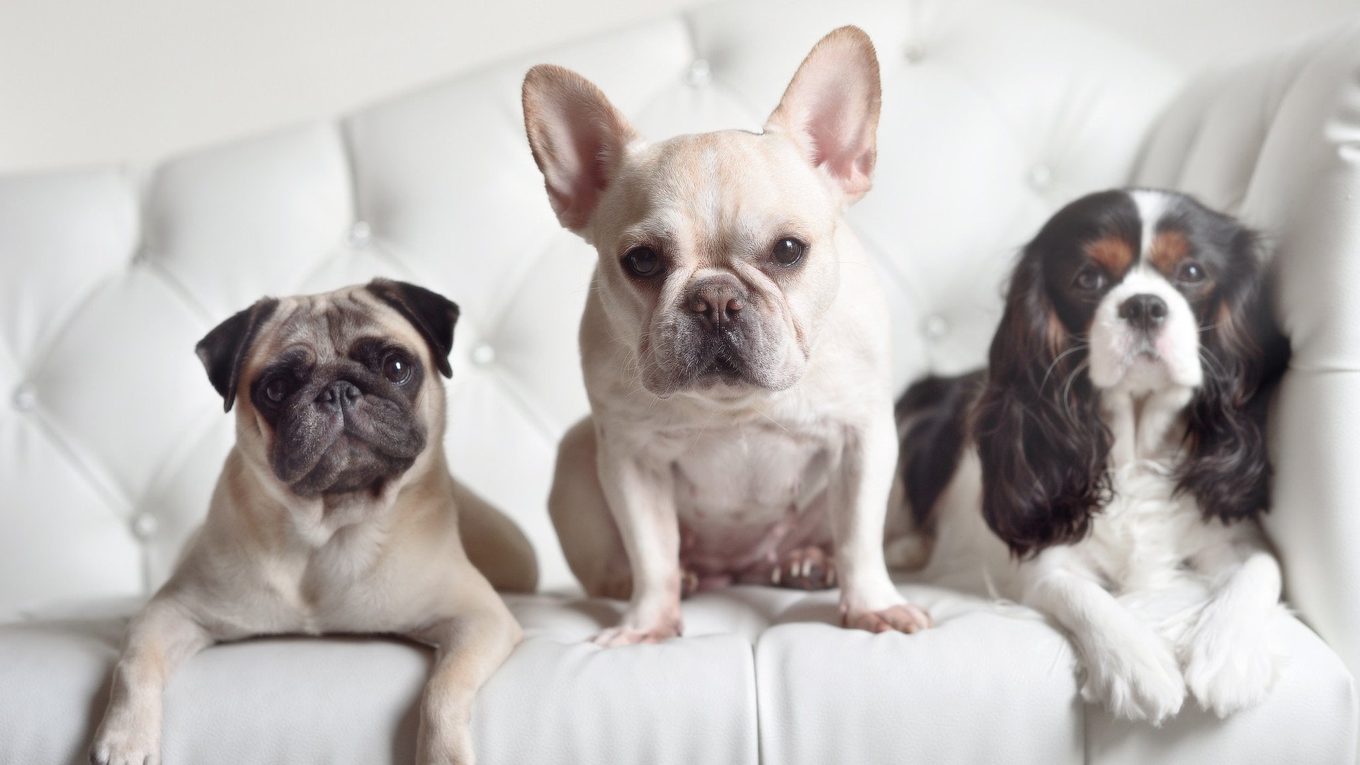 纪录之夜与生死时刻,拉文与尼克斯的平行狂想