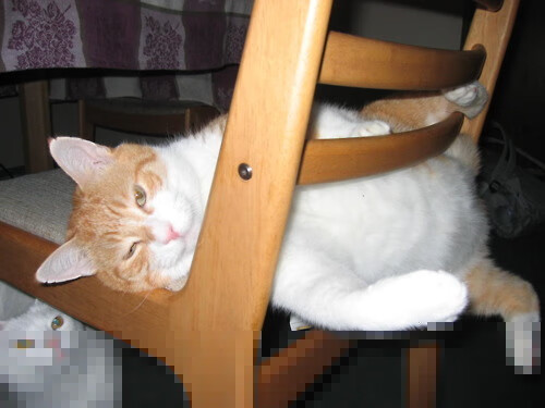 利爪撕开风城,杰伦·格林统治全场,老鹰踏平公牛