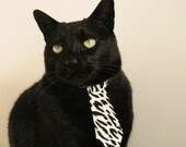 世界排名争夺战之夜,加克波独舞,将钢铁防线撕成星光碎片