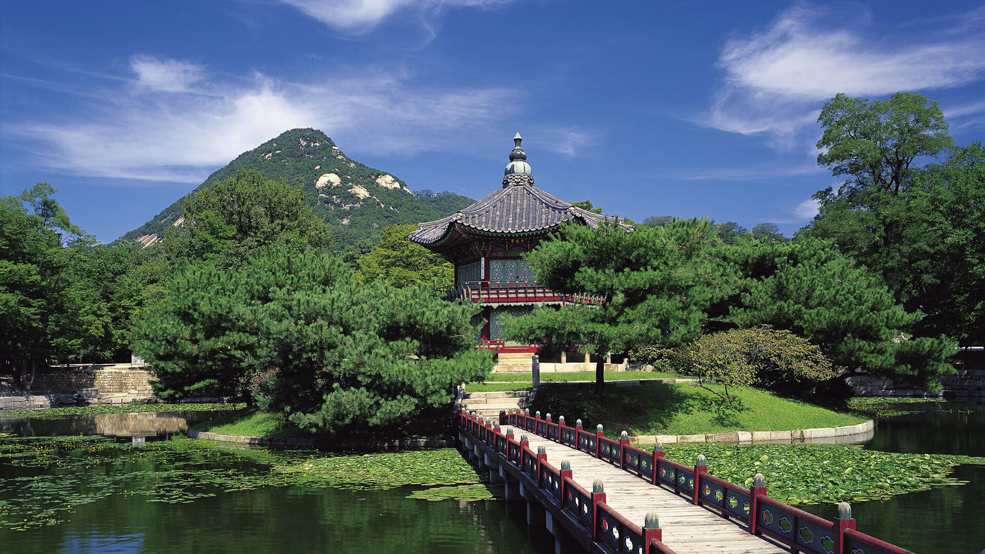 穹顶为幕，星月为证，一场被重新定义的年度焦点之战