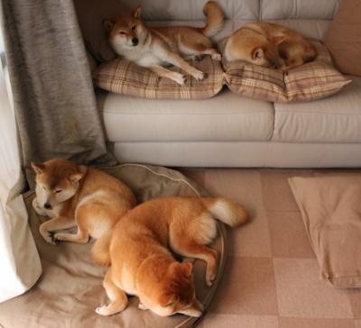 遛马驯湖新缰绳，西亚卡姆关键先生正名之战