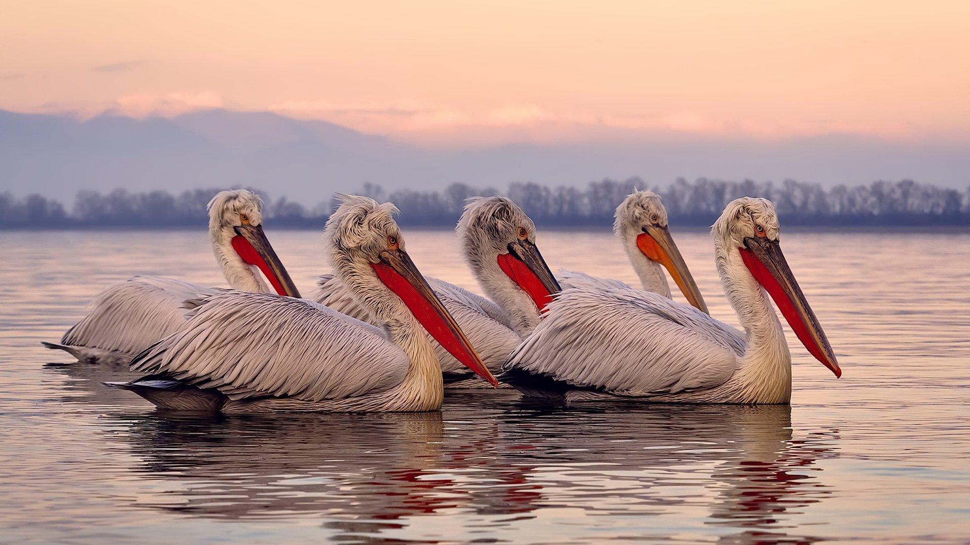 利刃出鞘，铁幕降临，哈登压制级发挥如何让深圳与山西之战成为一堂战术公开课