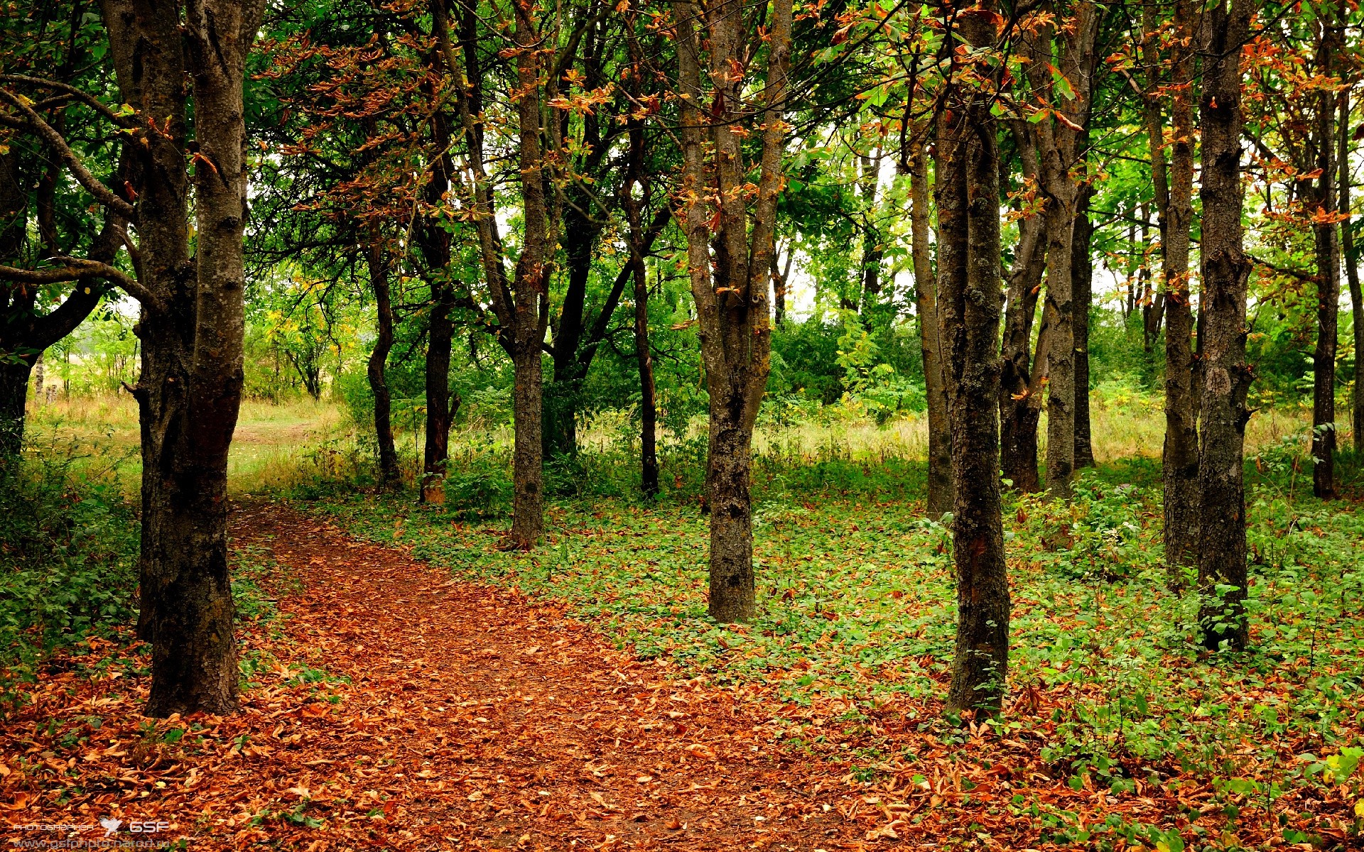 链式防守的艺术，从意甲焦点战到浙江队锁死鹈鹕的战术密码