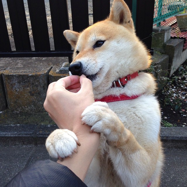 冰与火的交响，当瑞士的精密齿轮锁死西班牙洪流，本泽马以烈焰焚尽压力