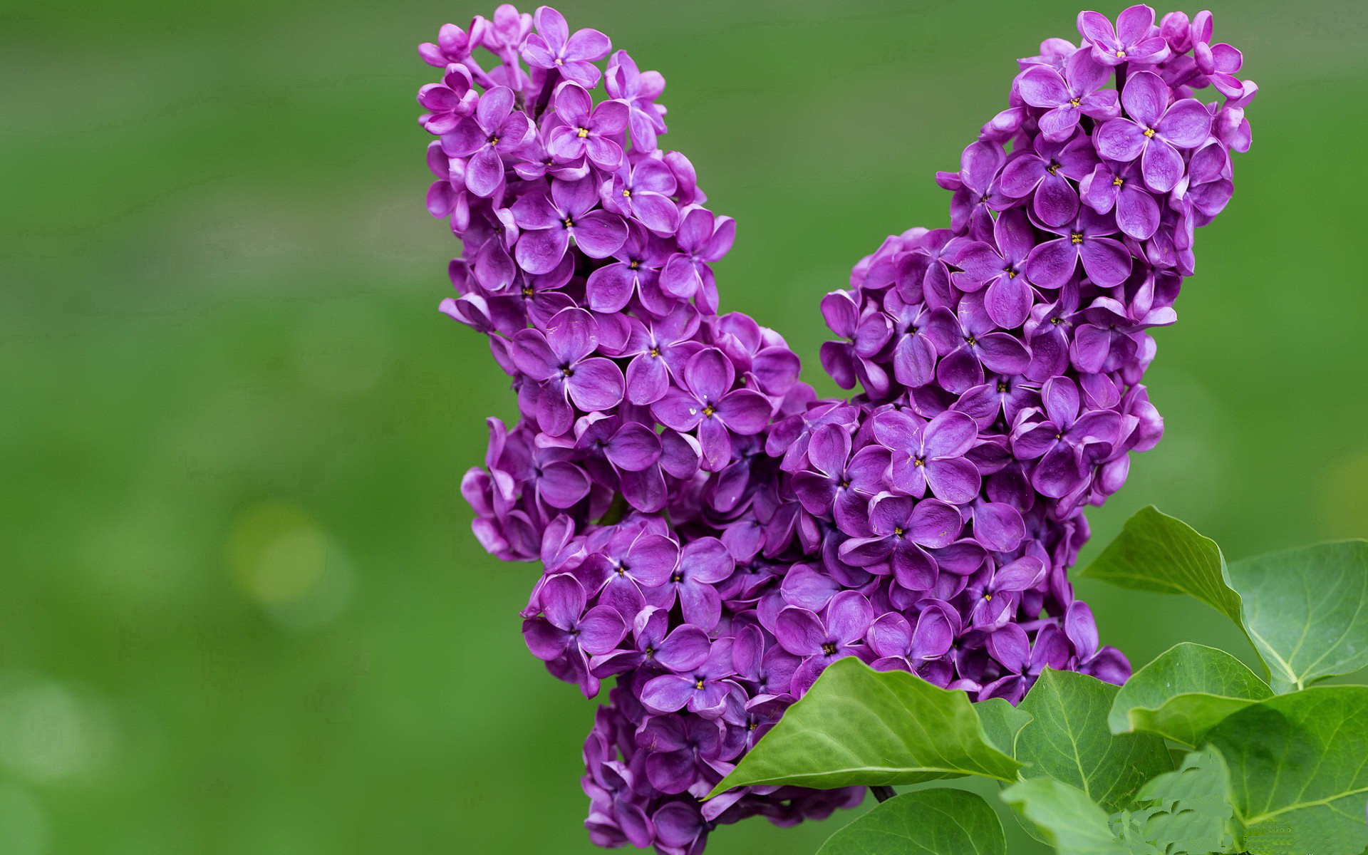 命运阶梯，从破茧到登顶