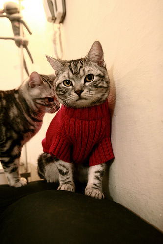 唯一性的战争，塞维利亚如何用奥运周期思维冲垮国际米兰