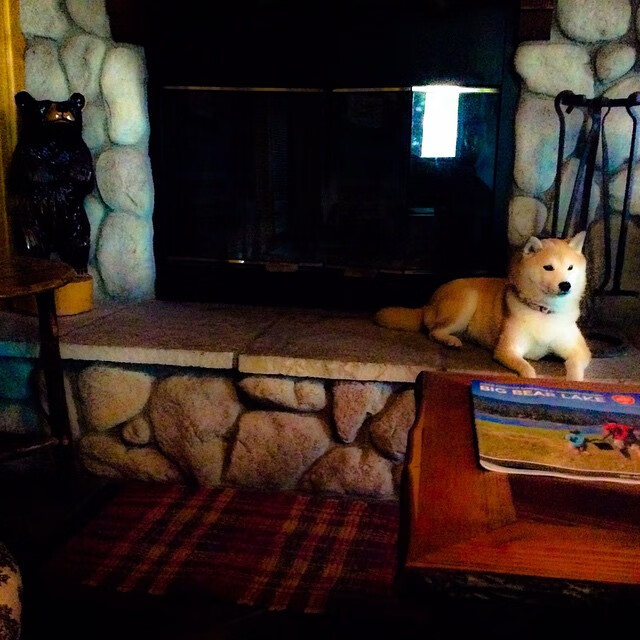 年度焦点之战，布伦森的硬仗审判之夜