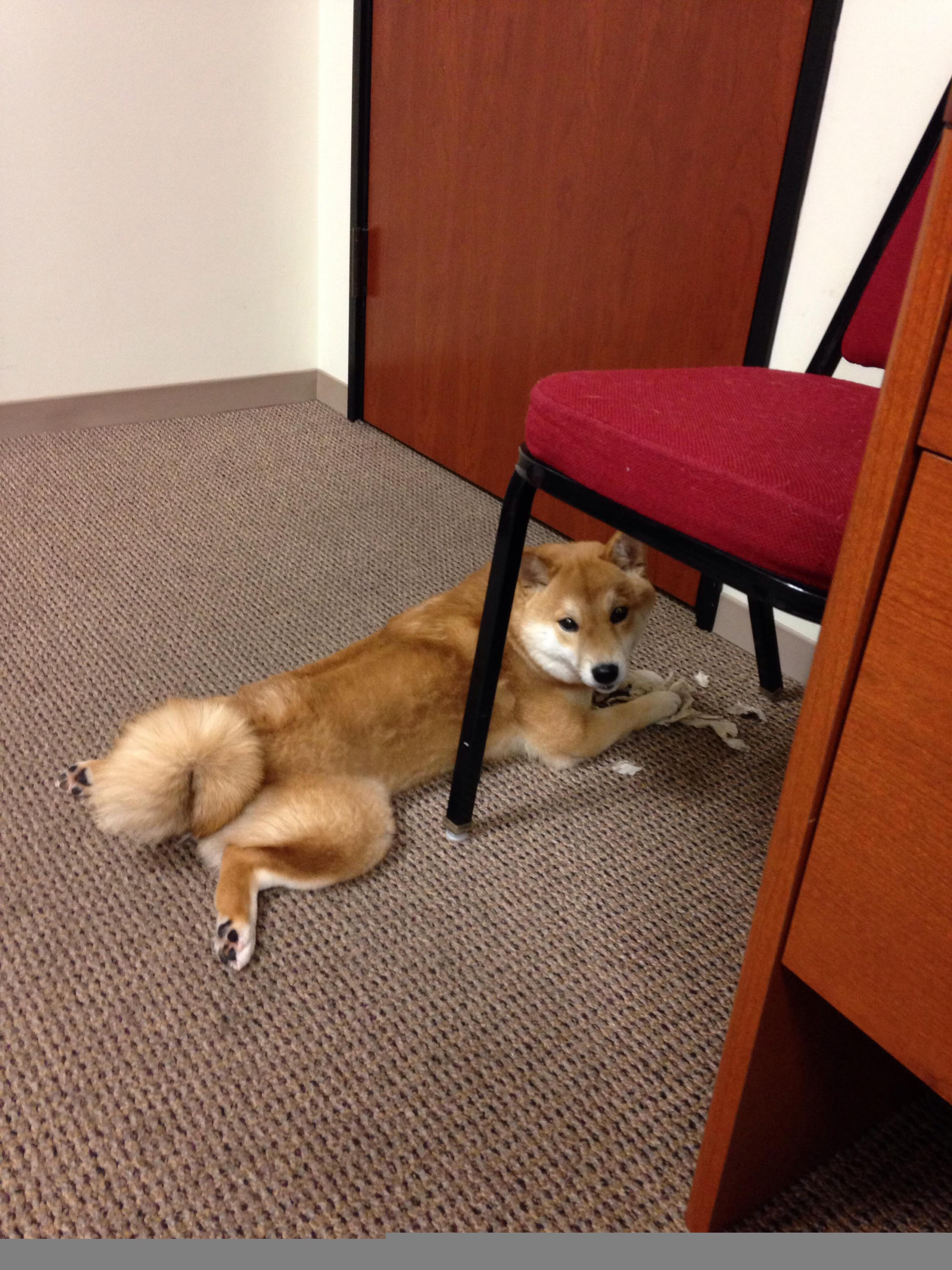 马克西，这把钥匙，终于打开了爵士的胜利之门