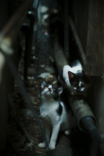 唯一性，爱德华兹不可复制的光芒，与快船队爆冷的启示