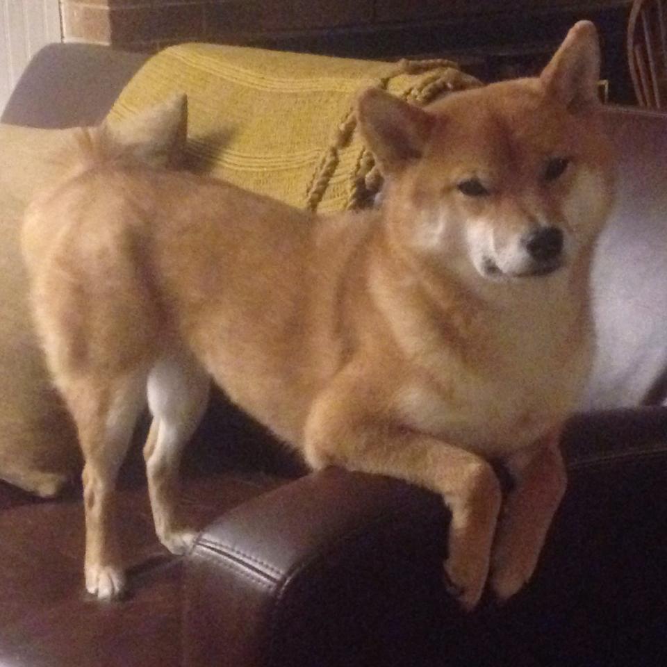 宿命之径，穆勒在阿布扎比之夜的无解方程式