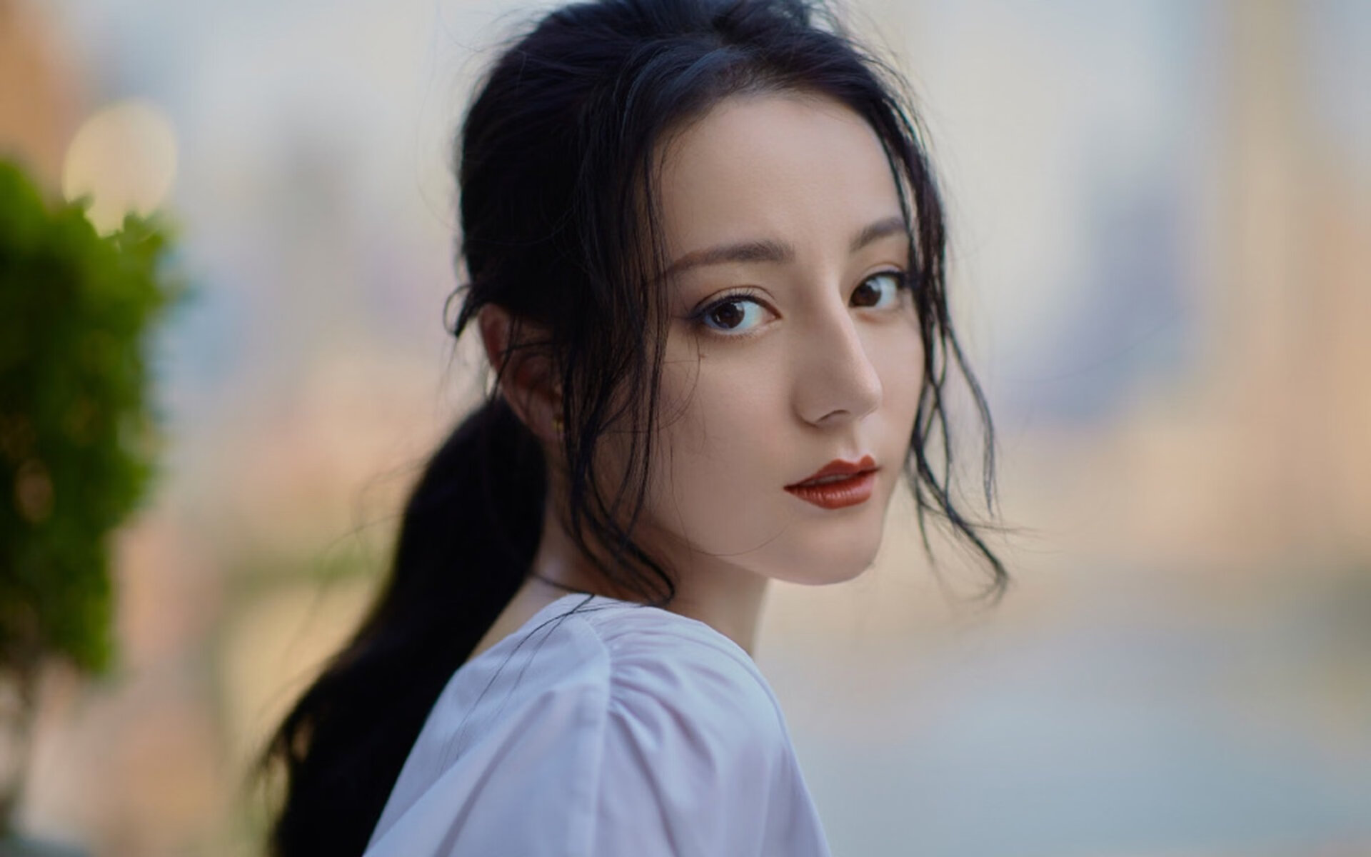 齿轮与流星，当团队齿轮咬合时，孤星如何照亮未来